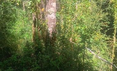 Parcela en Venta en camino o calle real sector Rio Frio