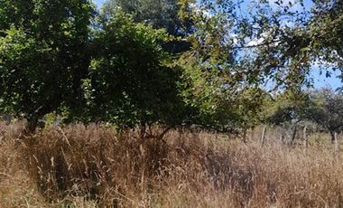 Parcela en Venta en camino o calle real sector Rio Frio