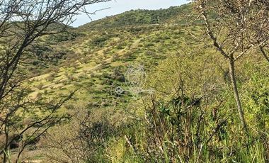 Sitio en Venta en Parcela lote E La Union de Codegua Melipilla