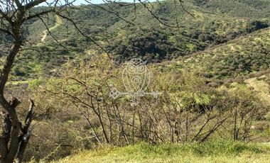 Sitio en Venta en Parcela lote E La Union de Codegua Melipilla