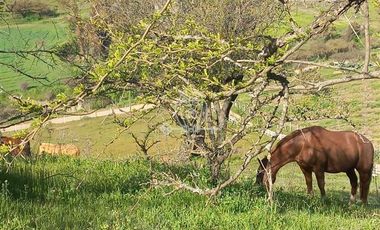 Parcela en Venta en Parcela lote E La Union de Codegua Melipilla