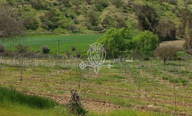 Parcela en Venta en Ruta G60 .....Camino a Rapel ....Union de Codigua