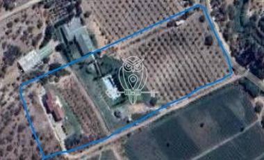 Parcela en Venta en Ruta G60 .....Camino a Rapel ....Union de Codigua