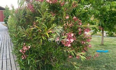 Parcela en Venta en Ruta G60 .....Camino a Rapel ....Union de Codigua