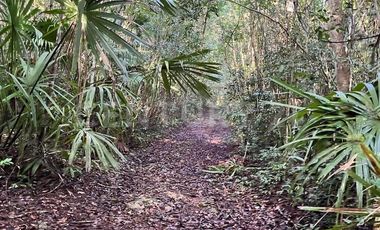 TERRENO, VENTA, CARRILLO PUERTO, RIVIERA MAYA, Q. ROO, MÉXICO
