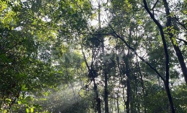 TERRENO, VENTA, CARRILLO PUERTO, RIVIERA MAYA, Q. ROO, MÉXICO