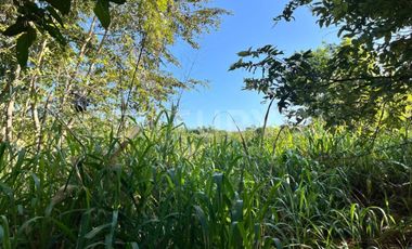 TERRENO, VENTA, CARRILLO PUERTO, RIVIERA MAYA, Q. ROO, MÉXICO