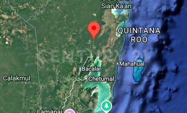 TERRENO, VENTA, CARRILLO PUERTO, RIVIERA MAYA, Q. ROO, MÉXICO