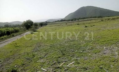 TERRENO EN VENTA - RUSTICO ZONA CARRETERA FEDERAL A MATAMOROS