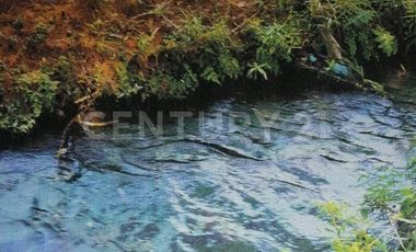 TERRENO EN VENTA - RUSTICO ZONA CARRETERA FEDERAL A MATAMOROS