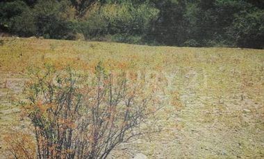 TERRENO EN VENTA - RUSTICO ZONA CARRETERA FEDERAL A MATAMOROS