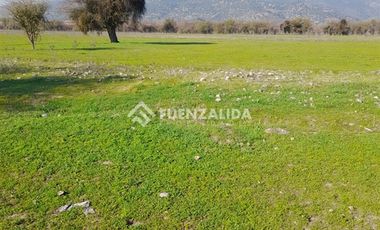 Agrícola en Venta en Germán Riesco/Los Mayos