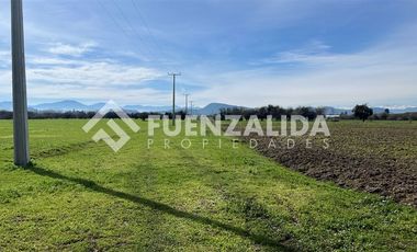 Agrícola en Venta en Germán Riesco/Los Mayos