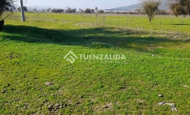 Agrícola en Venta en Germán Riesco/Los Mayos