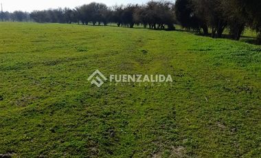 Terreno Construccion  en Venta en Germán Riesco/Los Mayos