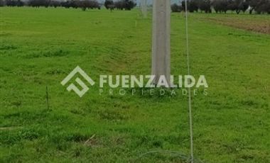 Terreno Construccion  en Venta en Germán Riesco/Los Mayos