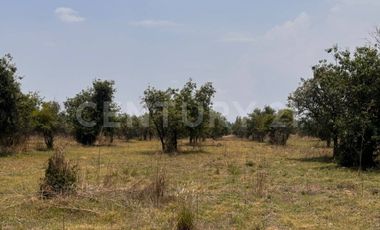 Terreno en Venta - 19,445.82 m2 - ideal para desarrollo habitacional