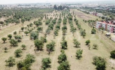 Terreno en Venta - 19,445.82 m2 - ideal para desarrollo habitacional