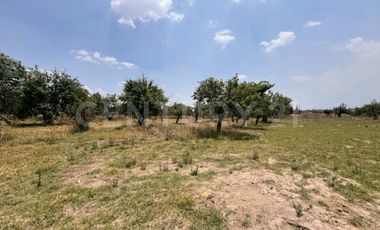 Terreno en Venta - 19,445.82 m2 - ideal para desarrollo habitacional