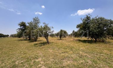 Terreno en Venta - 19,445.82 m2 - ideal para desarrollo habitacional