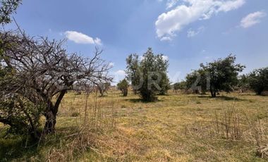 Terreno en Venta - 19,445.82 m2 - ideal para desarrollo habitacional