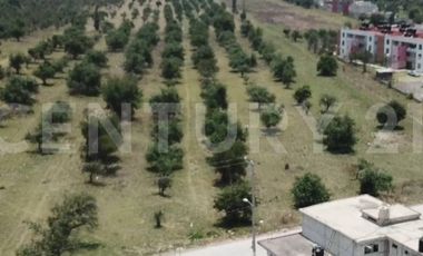 Terreno en Venta - 19,445.82 m2 - ideal para desarrollo habitacional