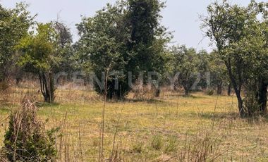 Terreno en Venta - 19,445.82 m2 - ideal para desarrollo habitacional