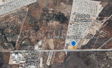 TERRENO EN RENTA EN CIENEGA DE FLORES RUMBO A LAREDO