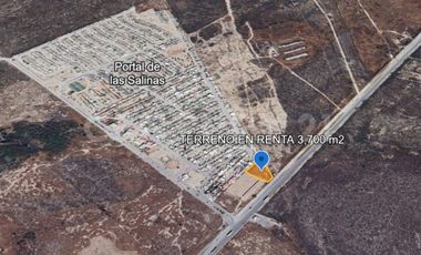 TERRENO EN RENTA EN CIENEGA DE FLORES RUMBO A LAREDO