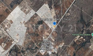 TERRENO EN RENTA EN CIENEGA DE FLORES RUMBO A LAREDO
