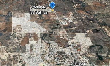 TERRENO EN RENTA EN CIENEGA DE FLORES RUMBO A LAREDO