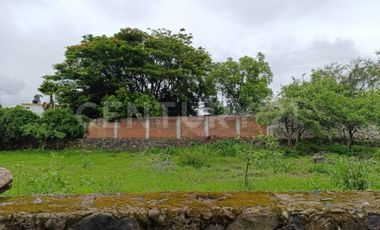 TERRENO EN VENTA EN EL PUEBLO MÁGICO DE TLAYACAPAN, MORELOS