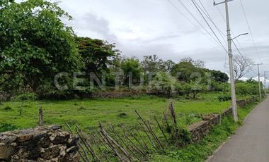 TERRENO EN VENTA EN EL PUEBLO MÁGICO DE TLAYACAPAN, MORELOS