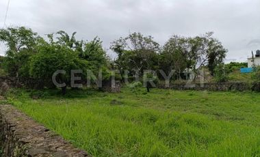 TERRENO EN VENTA EN EL PUEBLO MÁGICO DE TLAYACAPAN, MORELOS