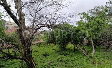 TERRENO EN VENTA EN EL PUEBLO MÁGICO DE TLAYACAPAN, MORELOS
