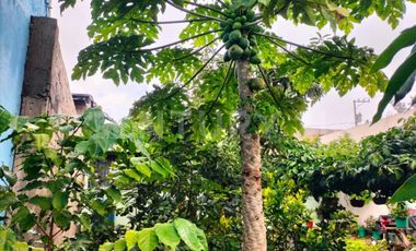 Casa en venta en Cofradía de Suchitlan, Comala, Col.