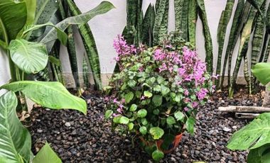 : Casa en RENTA en esquina en la COMARCA, Villa de Álvarez, Colima.