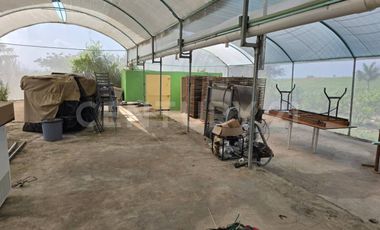 : Casa en Renta en Rancho El Elévate ,El Cobano ,Cuauhtémoc , Colima.