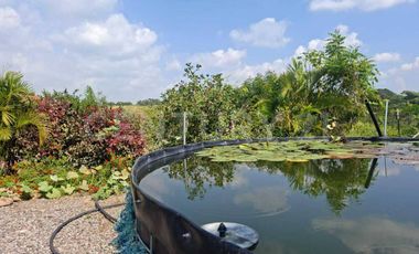 : Casa en Renta en Rancho El Elévate ,El Cobano ,Cuauhtémoc , Colima.