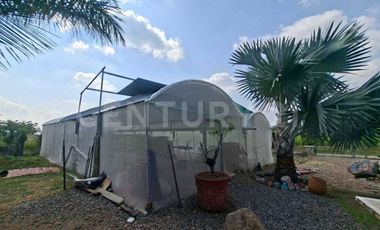 : Casa en Renta en Rancho El Elévate ,El Cobano ,Cuauhtémoc , Colima.