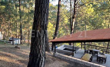 Cabaña en Venta en Azaleas, Mazamitla