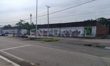 Terreno en Renta con Bodega en Armería