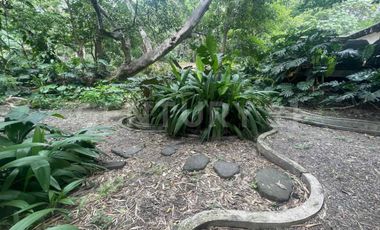 Casa en Venta en el centro de Comala