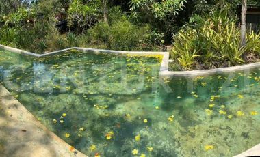 Casa en Venta en el centro de Comala