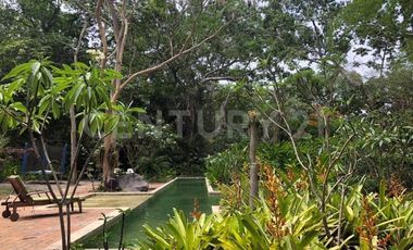 Casa en Venta en el centro de Comala