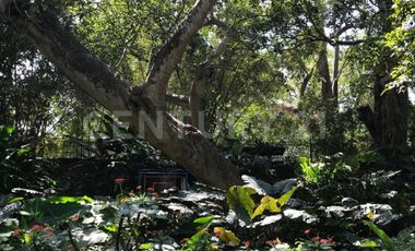 Casa en Venta en el centro de Comala