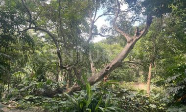 Casa en Venta en el centro de Comala