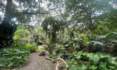 Casa en Venta en el centro de Comala