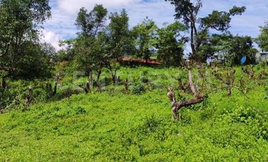 VENTA de predio urbano en el Sauz, Mpio. de Minatitlán, Colima.
