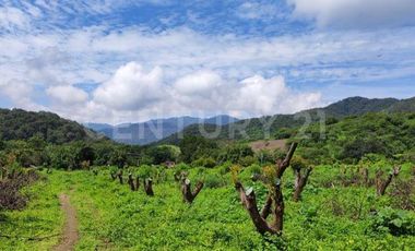 VENTA de predio urbano en el Sauz, Mpio. de Minatitlán, Colima.